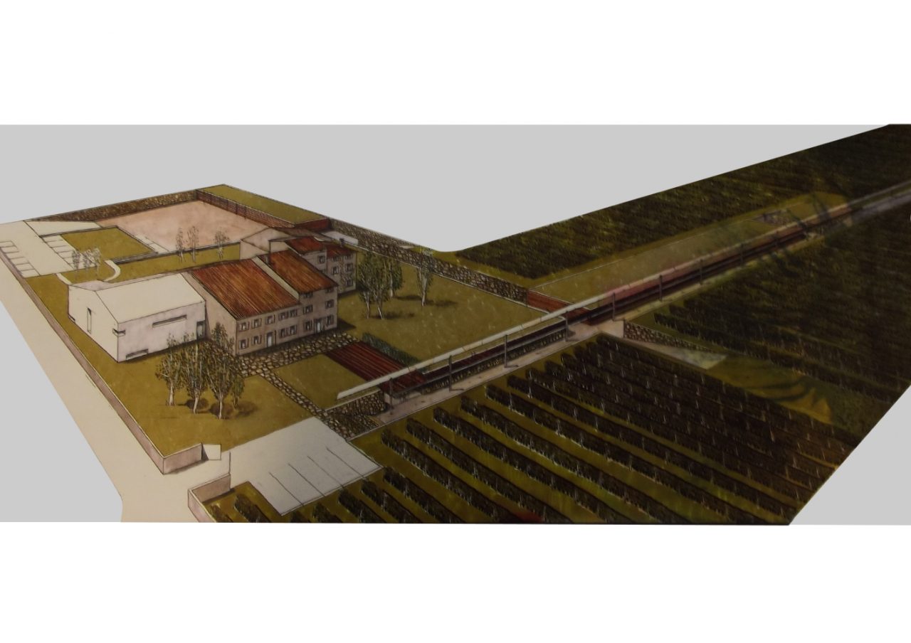 Il Superbonus 110% per le Società Agricole