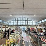 mercato ortofrutticolo camaiore